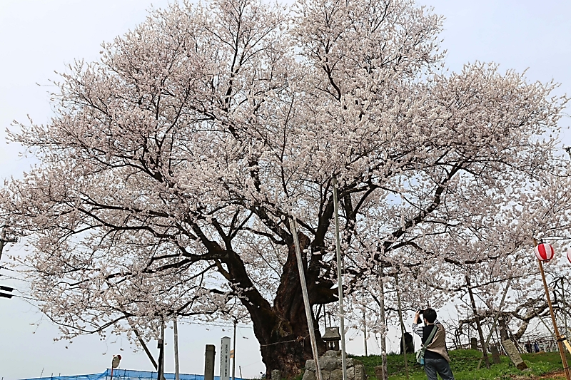 CNTS2025041801122_M.jpg