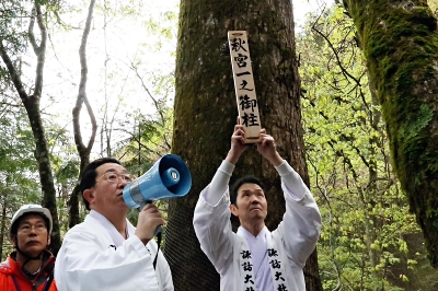 続々と400人がこけむした下諏訪町の森の中に…御柱用の「候補木」が選ば