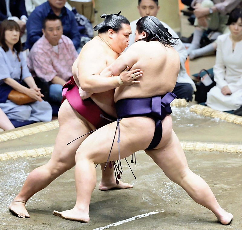 冬ノ熊肉　舞岳育　大人の夏休み 大人の夏休み 漁師・濱井航平の場合(CV：冬ノ熊肉)【ステラワース限定