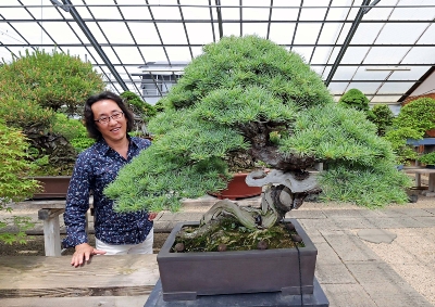 55年前の大阪万博で展示の盆栽、再び万博を彩る 小布施町の作家が世話