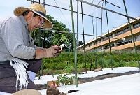 家庭菜園で野菜の苗を植える佐藤さん。近くには閉校から１７年が過ぎた旧春日小学校が見える＝５月１９日、佐久市春日