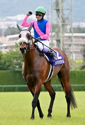 宝塚記念、メイショウタバルがV 競馬、G1初制覇｜信濃毎日新聞