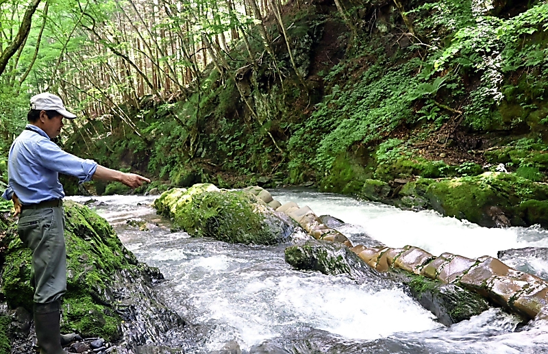巳年の「蛇石の日」を辰野町で盛り上げ 渓谷でのひとときを楽しむ催し