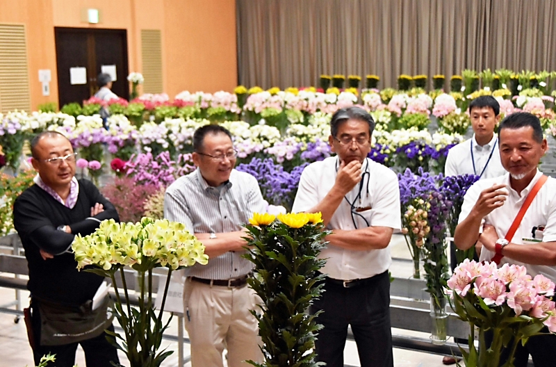 長野県最大級の花の品評会が始まる 長野市で｜信濃毎日新聞デジタル