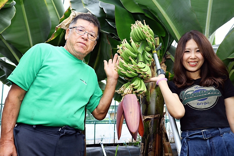 南国バナナを「松本市の名物」に 独学で栽培始めた親子、二人三脚で