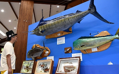 体長3mの剥製も…安曇野市の国営公園で「魚魚展」｜信濃毎日新聞