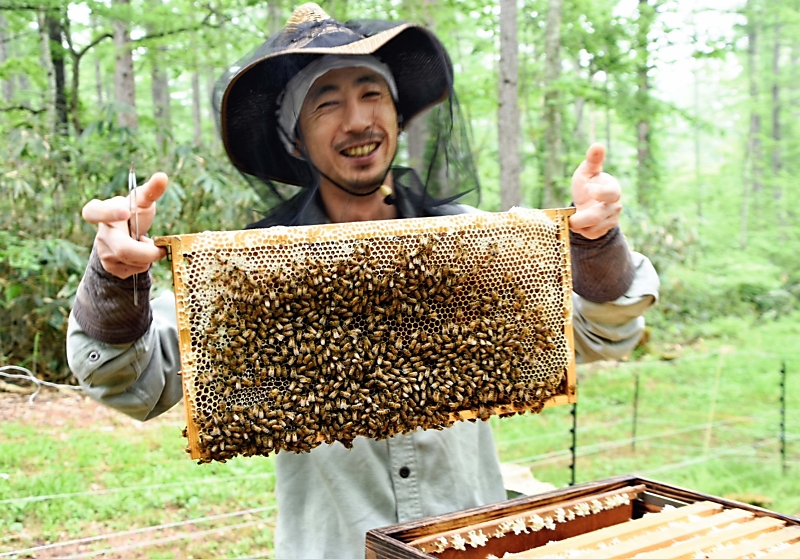 長野県は「養蜂王国」…だが、持続不可能ではないか ミツバチに魅せられ