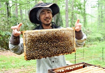 長野県は「養蜂王国」…だが、持続不可能ではないか ミツバチに魅せられ