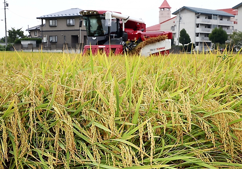 2025年産の新米の店頭価格にも影響か 長野県産コシヒカリの概算金