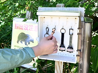 熊と遭遇したら大声は逆効果 長野県の専門家が語る対策は｜信濃毎日