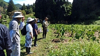 祢津さん（中央）の畑の見学会。「耕さず、肥料は入れず、草や虫を敵とせず」がモットーだそうだ