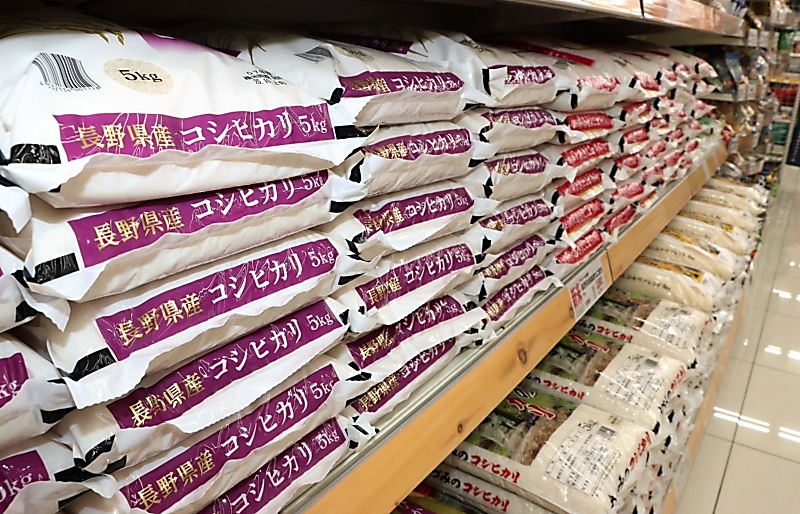 長野県産のコシヒカリ新米価格は24年産米と同水準 コスト増で高止まり