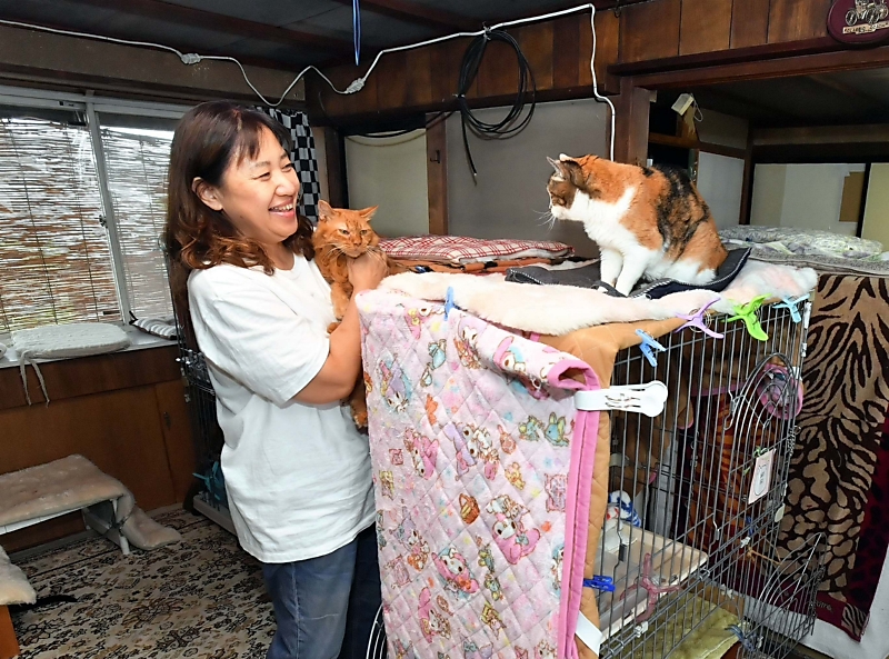 多頭飼育していて 異臭漂う一軒家に238匹の猫 「多頭飼育崩壊」はなぜ起こってしまった