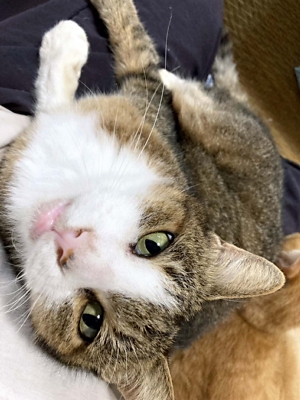 神山　清子 神山清子さん死去 陶芸家｜信濃毎日新聞デジタル 信州・長野県の