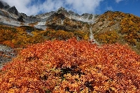 　2025年10月8日の涸沢。ナナカマドが真っ赤に染まり、日本一の山岳紅葉といわれます。奥に見える北穂高岳（中央）や涸沢槍（左）とのコントラストが素晴らしかったです。