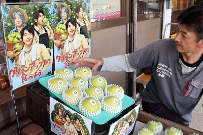 青リンゴ大使「Mrs. GREEN APPLE」のポスター、長野県に登場