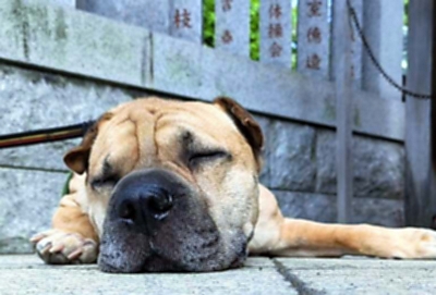 神山　清子 神山清子さん死去 陶芸家｜信濃毎日新聞デジタル 信州・長野県の