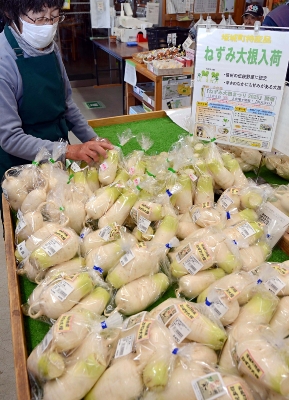 坂城町特産の伝統野菜を存分に 3年ぶり「ねずみ大根まつり」9日開催