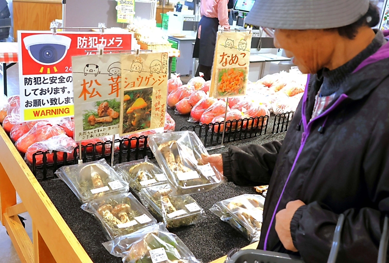 岩手県産松茸秀品 ❗最終値下げ❗ 10月17日午後取れ 送料込み 松茸のお礼品・返礼品一覧 | ふるさと納税サイト「さとふる」