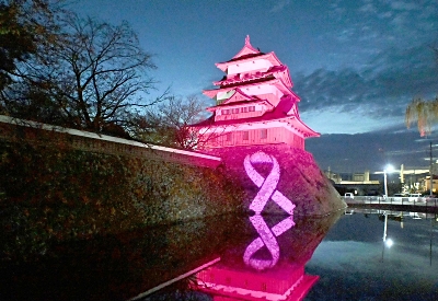 諏訪市の高島城、パープルにライトアップ｜信濃毎日新聞デジタル 信州