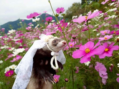 真作】絵画 山下朝弘 油彩SM 田舎家 農村風景 写実風景 里山風景 X101