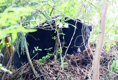 真作】絵画 山下朝弘 油彩SM 田舎家 農村風景 写実風景 里山風景 X101