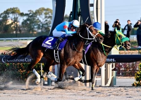 ダブルハートボンドが優勝 競馬のG1チャンピオンズカップ｜信濃毎日