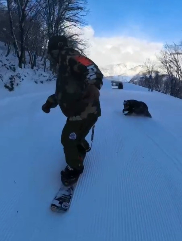 バカラ　クマのスキー アクティビティ – ガーラ湯沢スキー場(新潟県湯沢町)｜GALA YUZAWA
