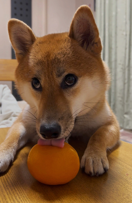 原田泰治 シリアルナンバー 235/880 落款有り 原田泰治 シリアルナンバー 235/880 落款有り（額縁付き） - メルカリ
