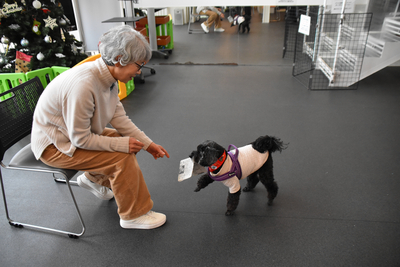 おたくのワンちゃん、高齢者の「サポート犬」にしませんか｜信濃毎日