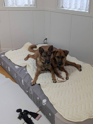 J2得点ランキングトップ 元松本山雅の小松蓮、J1ヴィッセル神戸に