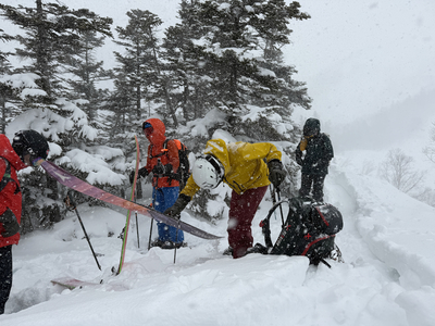 守谷絢子さん、男児出産 第3子、高円宮家三女｜信濃毎日新聞デジタル
