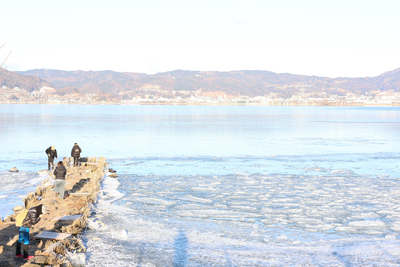 寄せ氷」は18センチまで成長したが 「全面結氷」ならず〈諏訪湖・御神