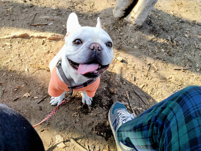 木版画家で名誉町民、宮田三郎さんの作品展が30日から開催 佐久穂町