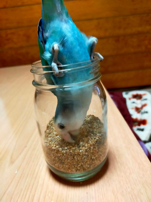 ミスタージャイアンツ」生誕60周年を記念した、復刻ソフビフィギュアの