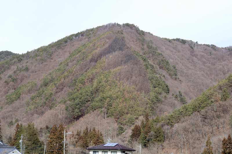 いつ転がってくるか…｣上田市の大規模山林火災1年 遅れる落石対策､住民