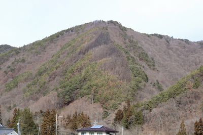 いつ転がってくるか…｣上田市の大規模山林火災1年 遅れる落石対策､住民