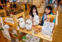 ホテル千畳敷の売店。ぬいぐるみなど、ライチョウに関係する商品が多い＝1日、中央アルプス