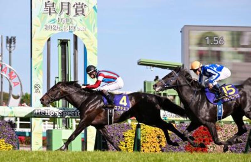 G1皐月賞、ロブチェンが優勝 競馬、2着はリアライズシリウス｜信濃毎日