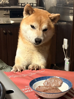 高森町　リキ