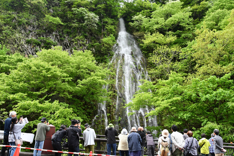 木島平村の国道沿いに｢幻の滝｣2年ぶりに出現 落差50メートルの大迫力