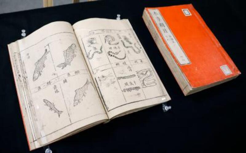 1億円鑑定の中国・古文書展示 京都府立植物園「本草綱目」｜信濃毎日