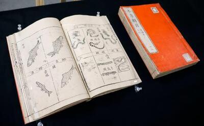 増補　立地と環境　その地理的接近　渡辺利得　嵯峨野書院　古本　古書 1億円鑑定の中国・古文書展示 京都府立植物園「本草綱目」｜信濃毎日