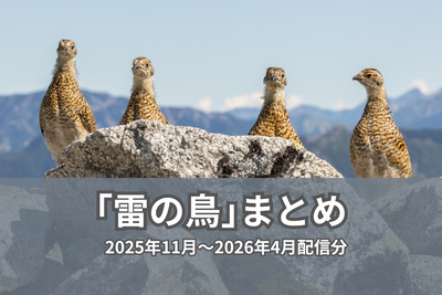 信濃毎日新聞デジタル