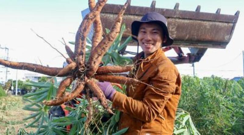 30代男性、営業職からキャッサバ農家に 外国人住民のなじみ深い食材に