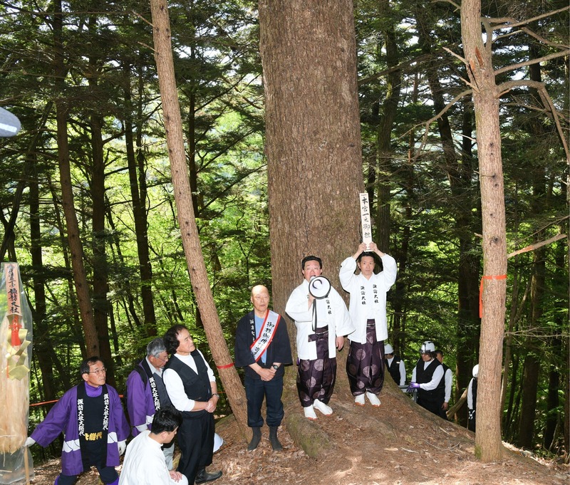 樋口　御柱　諏訪 2028年の御柱祭向け諏訪大社上社の御用材「仮見立て」 伊那市の私有林