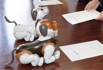 犬型ロボット”aibo”、箕輪町への｢派犬期間｣終了 生産拠点ある愛知県