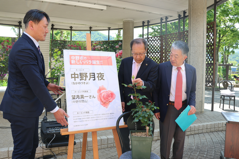 中野市のバラ新品種｢中野月夜｣ バラまつり開幕に合わせて市に寄贈