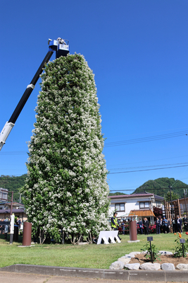 中野市で｢ばらサミット｣開幕 ”日本で一番空に近いバラ”認定に向けた