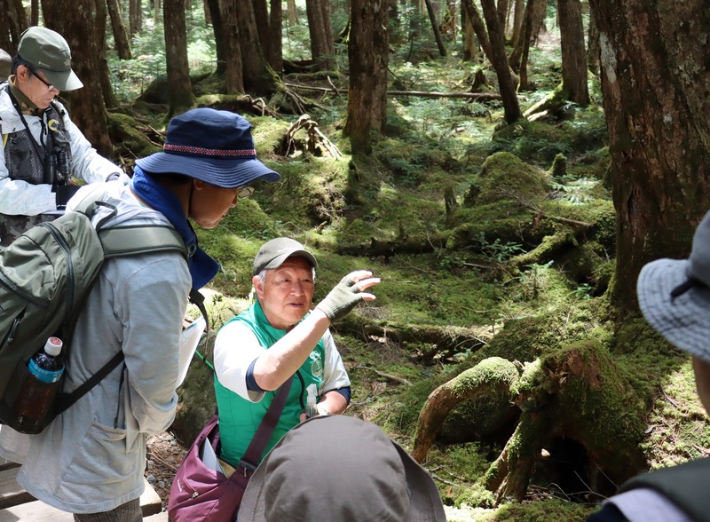 北八ヶ岳で「苔の森開き」開催！自然を感じる新しい体験